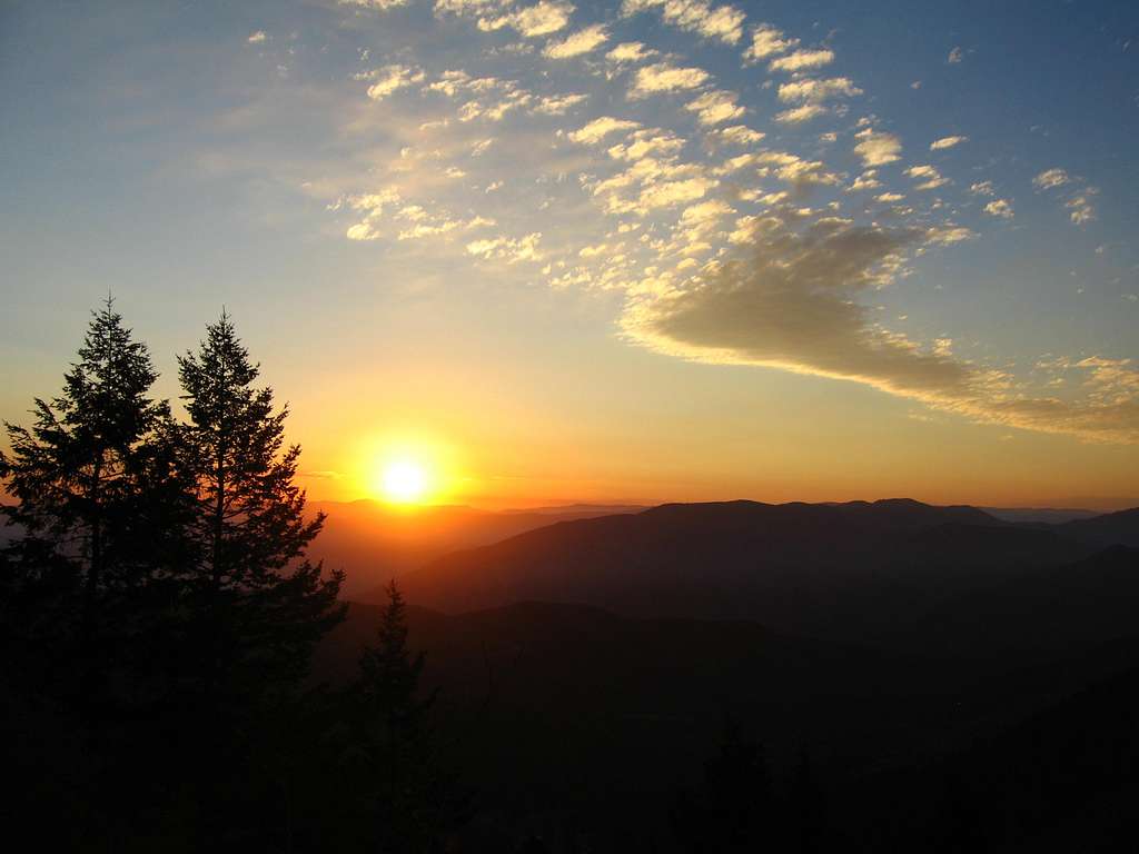 Aspen Grove Sunrise