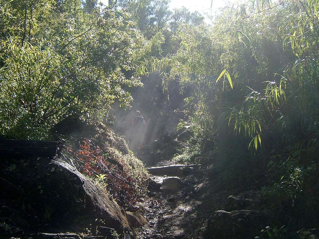 The Steamy Path Up