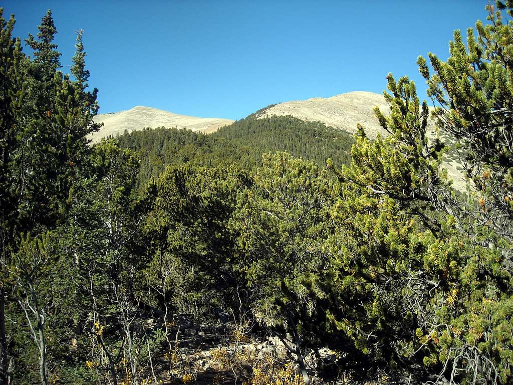 East Ridge of Mt. Antero