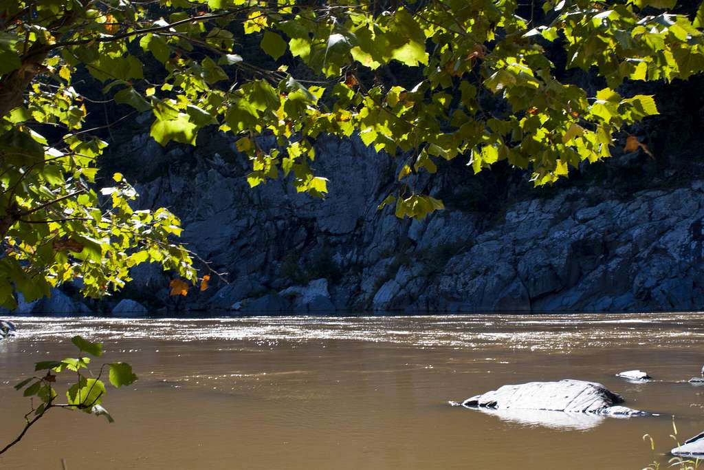 A Calm River Spot in the Gorge