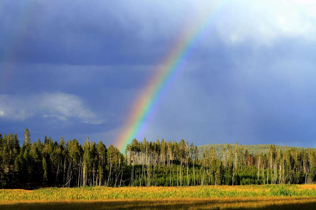A Yellowstone Rainbow