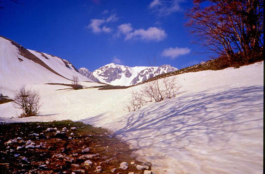 Monte Meta in 1994 from Biscurri Valley