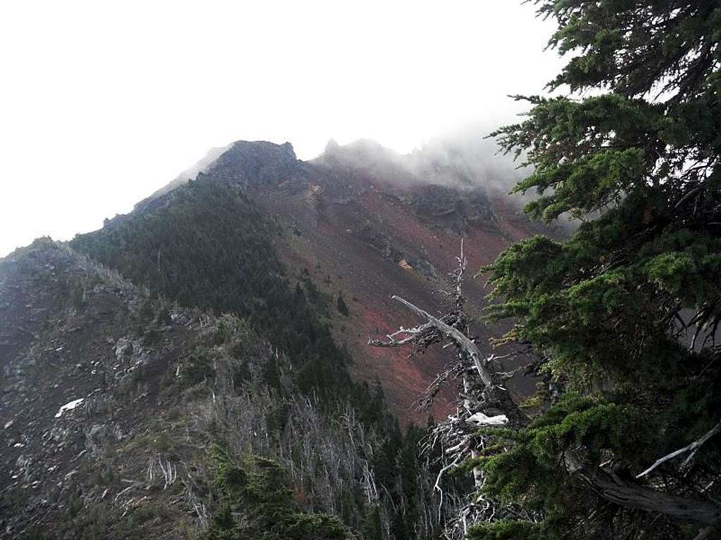 NW Ridge Climber's trail 