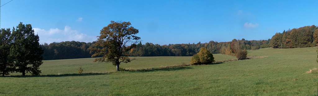 Autumnal tones in the Książ Landscape Park (Książański Park Krajobrazowy)
