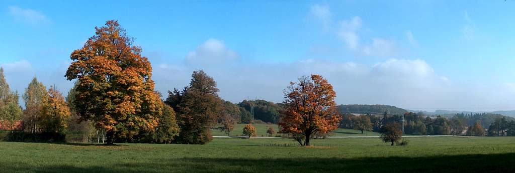 Autumnal tones in the Książ Landscape Park (Książański Park Krajobrazowy)