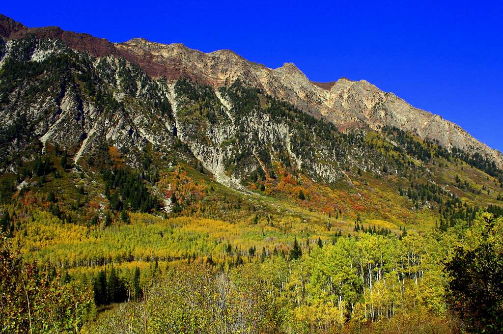 Beautiful 2010 Fall Colors in Little Cottonwood Canyon