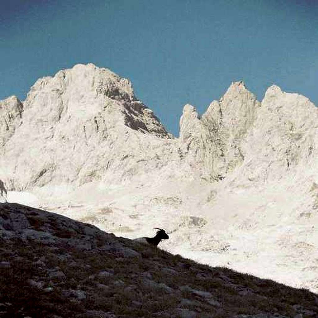 Picos de Europa