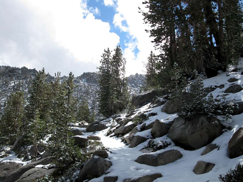Fresh Snow On Trail