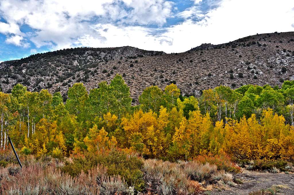 Colors along Bishop Creek