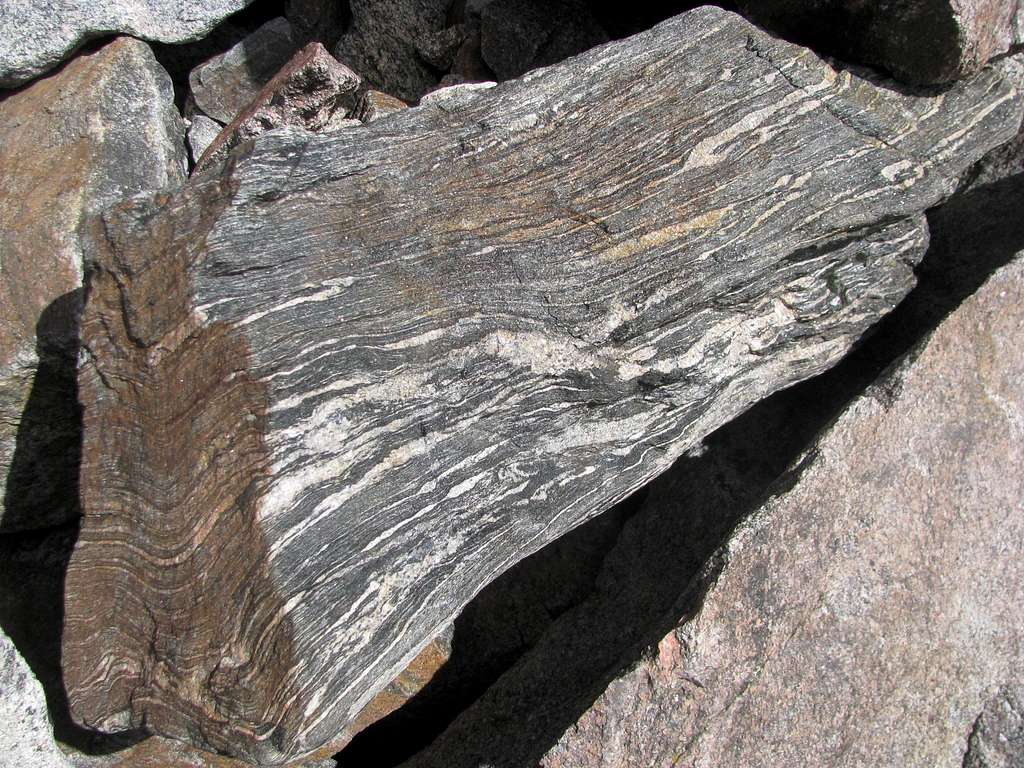 Rock looks like Petrified Wood