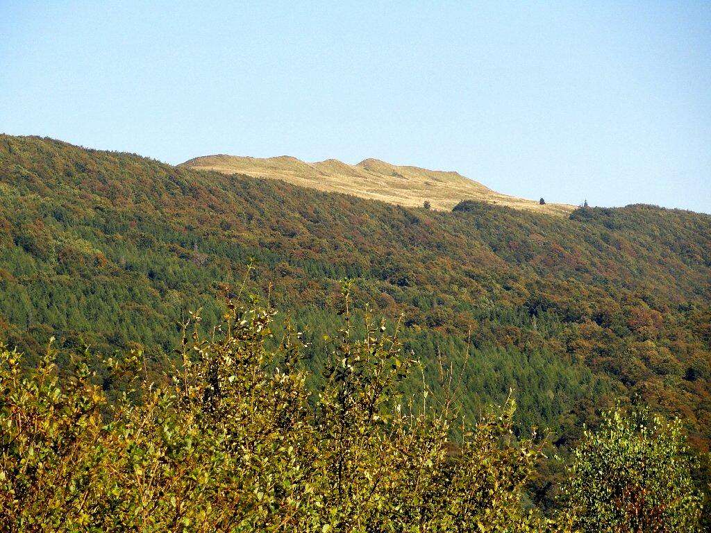 Caryńska Meadow - High Point Kincki (1148 m)