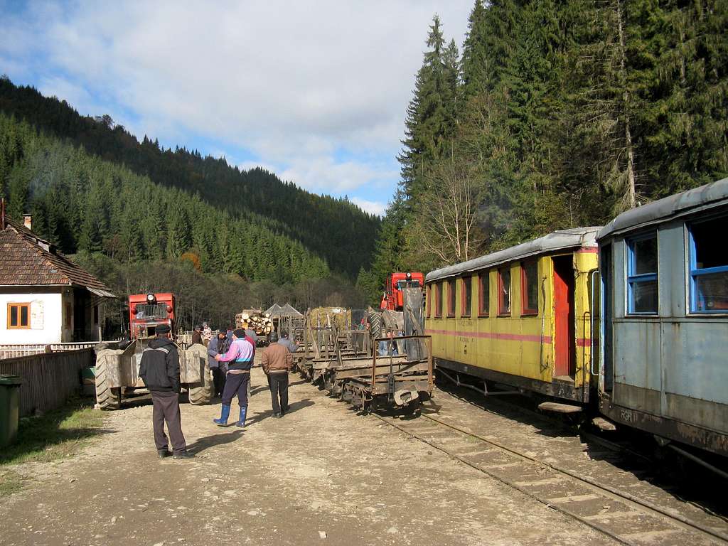 Freight train at Făina stop