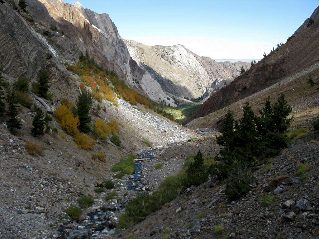 Looking Down Convict Canyon