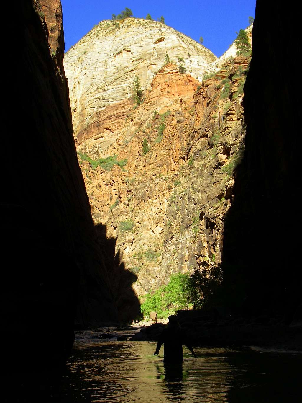 Troy hiking the Zion Narrows