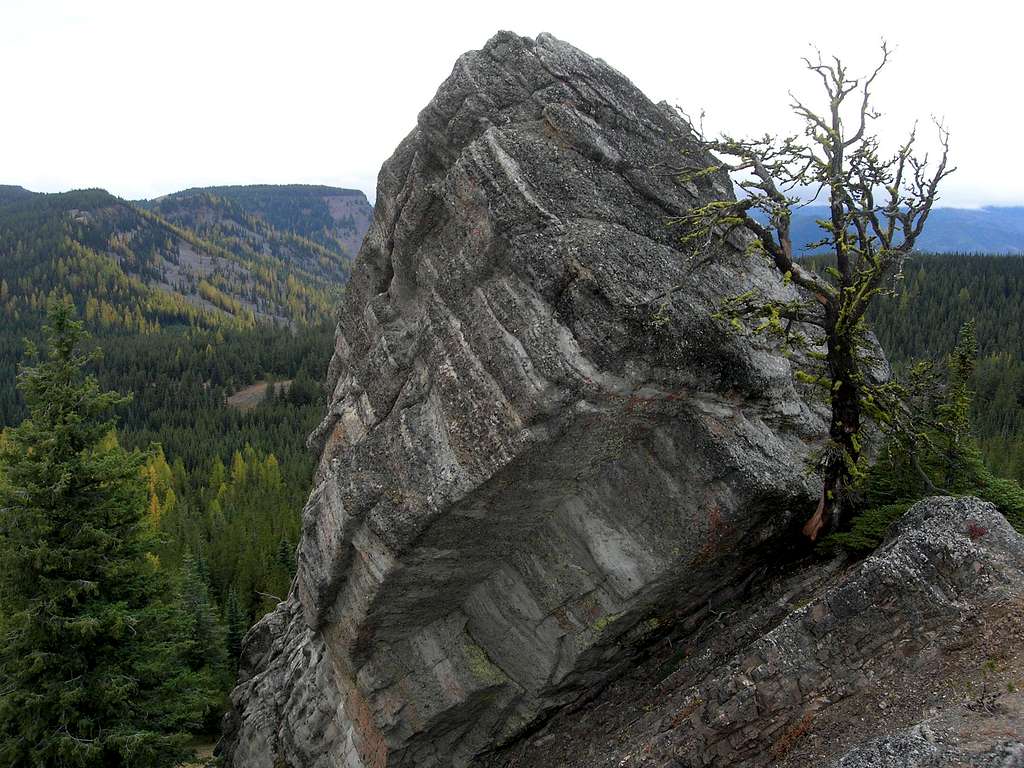 The Rock on Lillian
