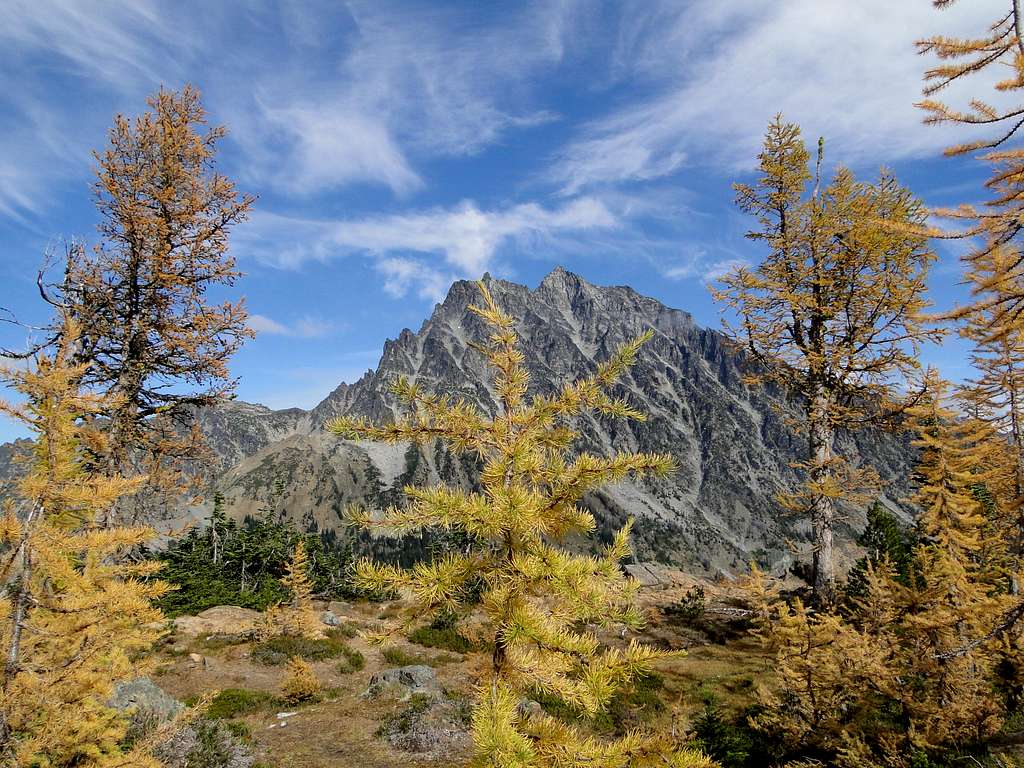 Larches and Mt. Stuart from near Ingalls Pass.
