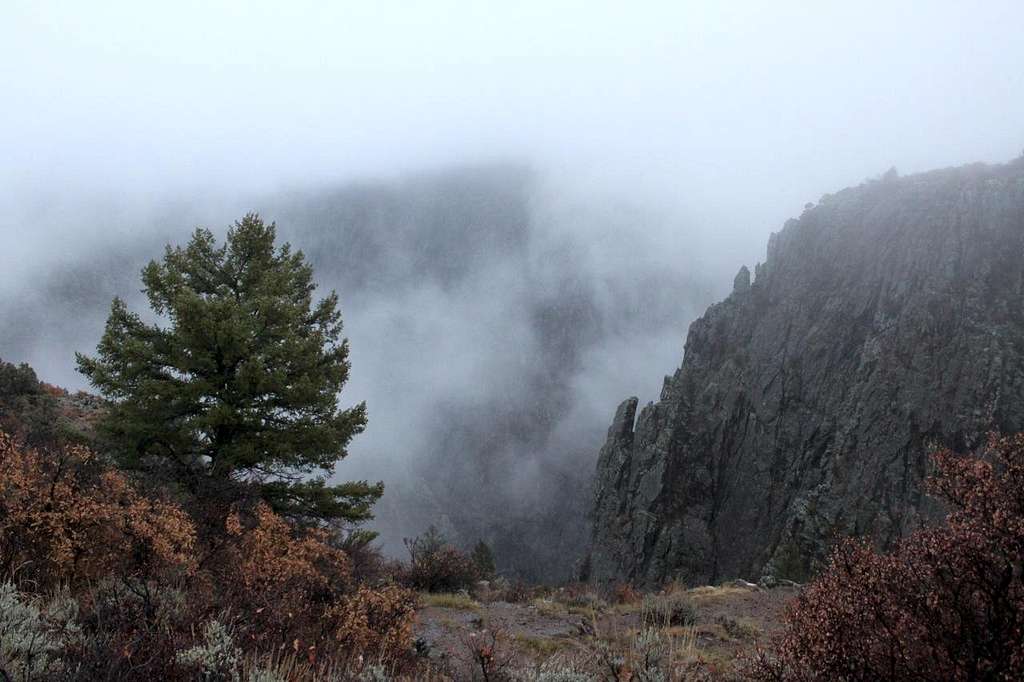 Views into the canyon