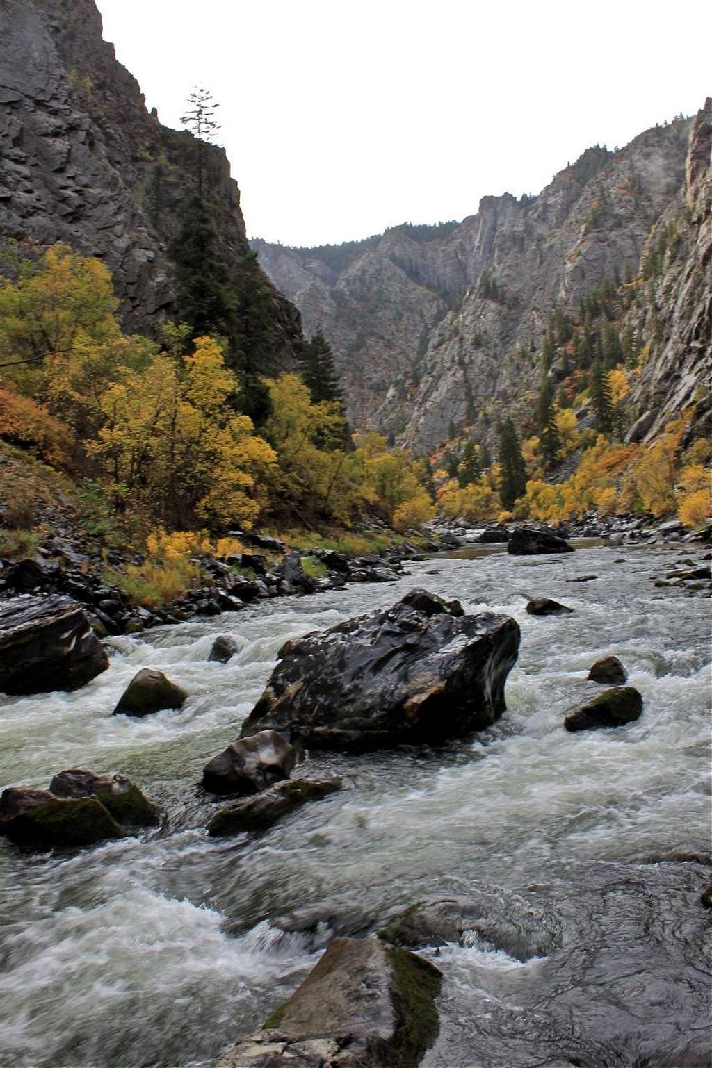 Autumn on Gunnison river