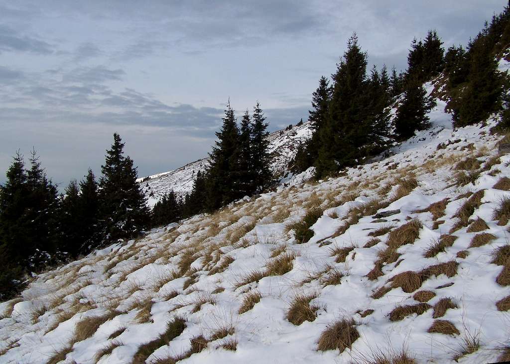 The southeastern slope of Stuhleck