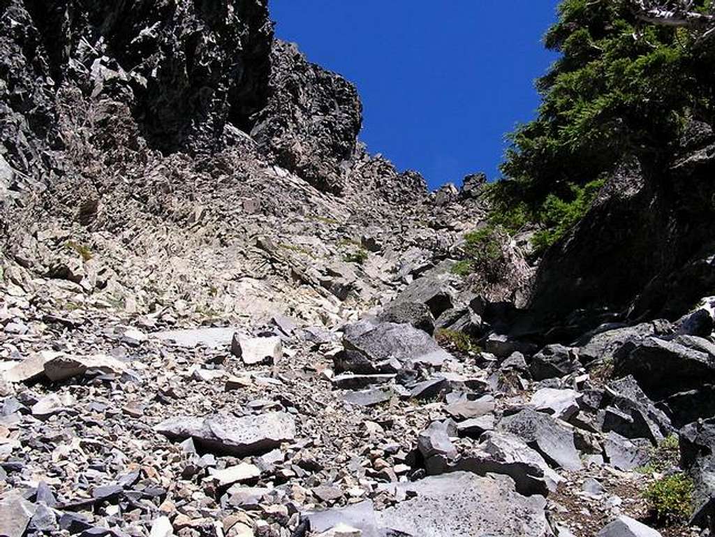 Looking up the south gully.