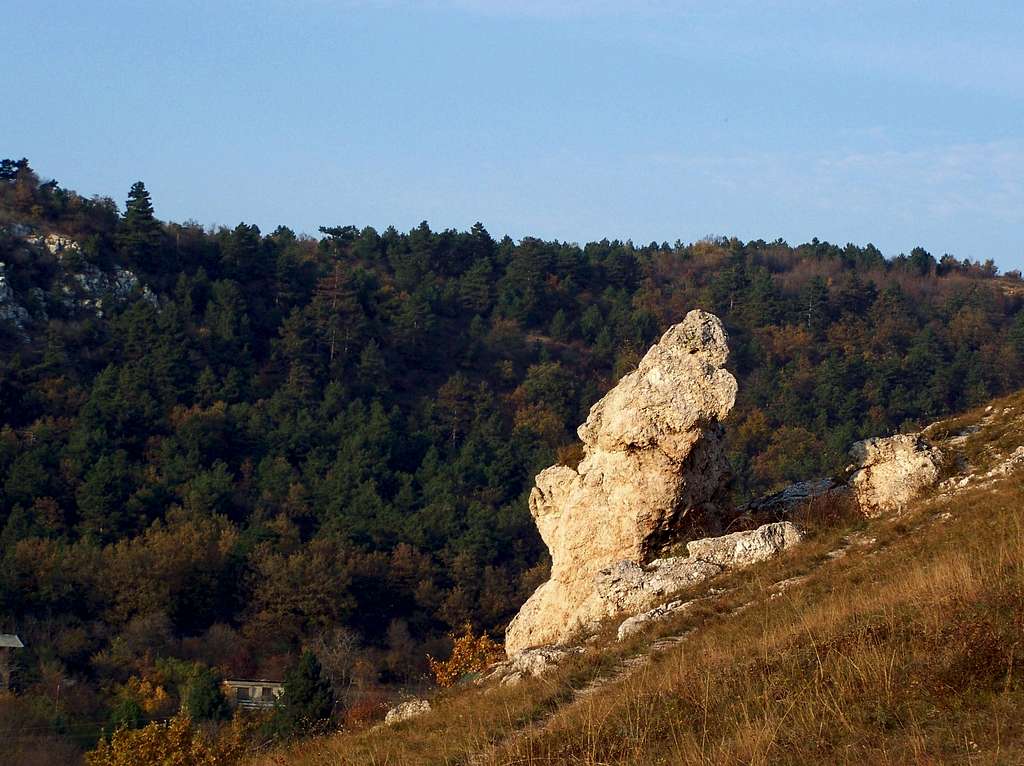 A parrot-shaped cliff in Csíki-hegyek