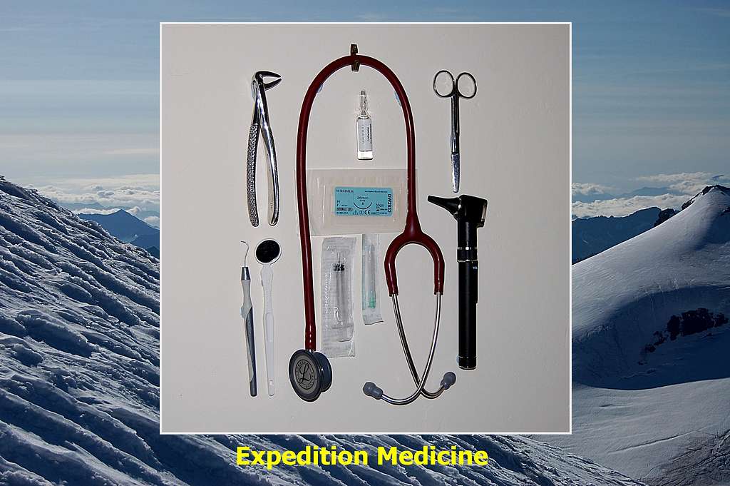 Expedition Medicine Article