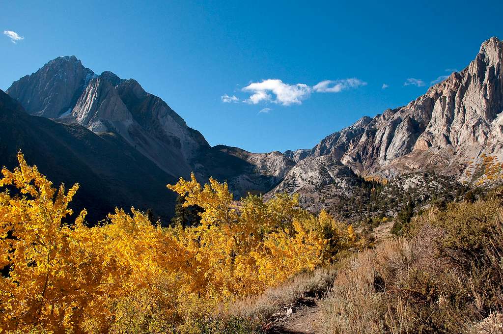 Fall in Convict Canyon
