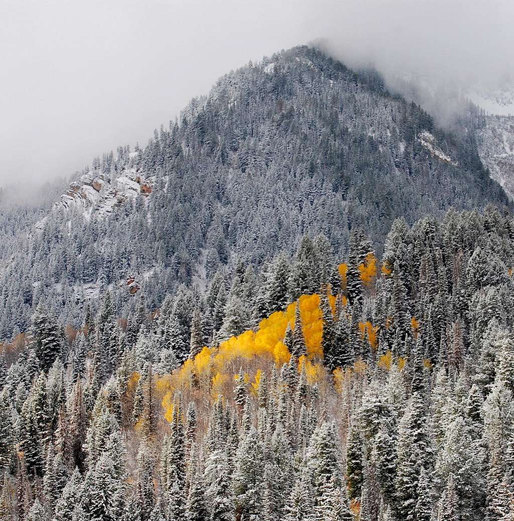 Fall Snow Storm above Tibble Fork