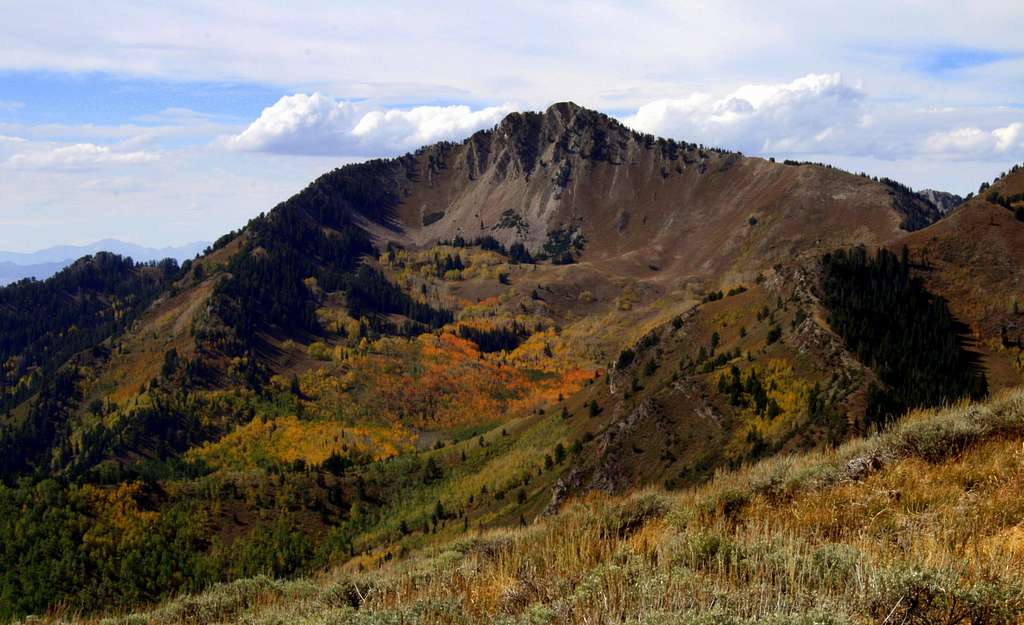 2010 Fall Colors on Raymond Peak from Reynolds Peak