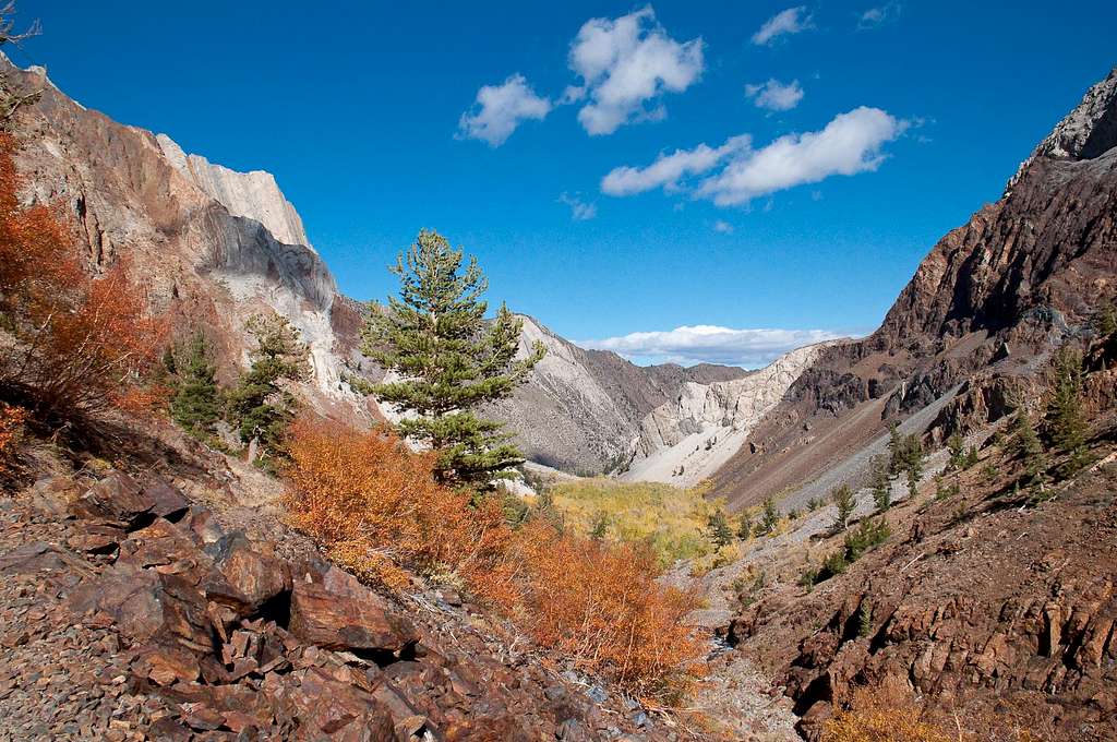 Convict Canyon