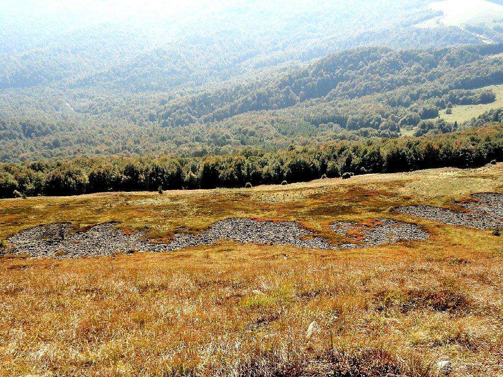 Slope of Mount Połonina Caryńska