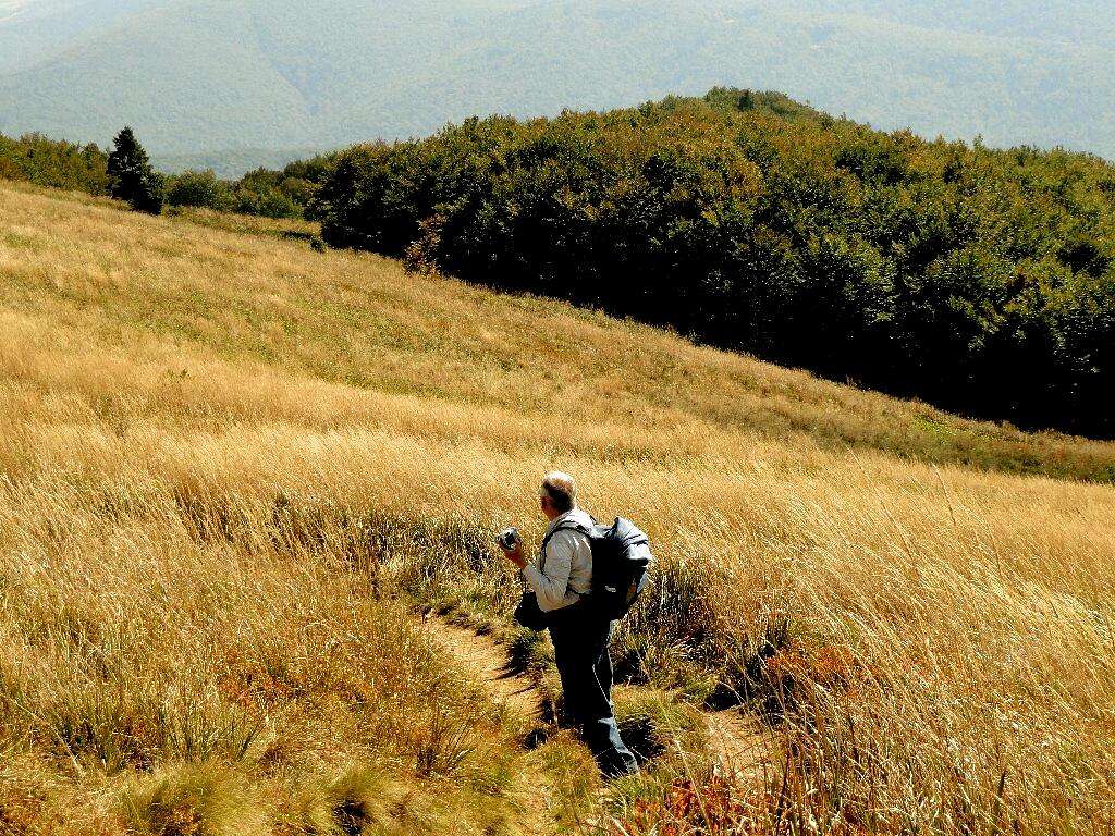 On the slope of Mount Połonina Caryńska