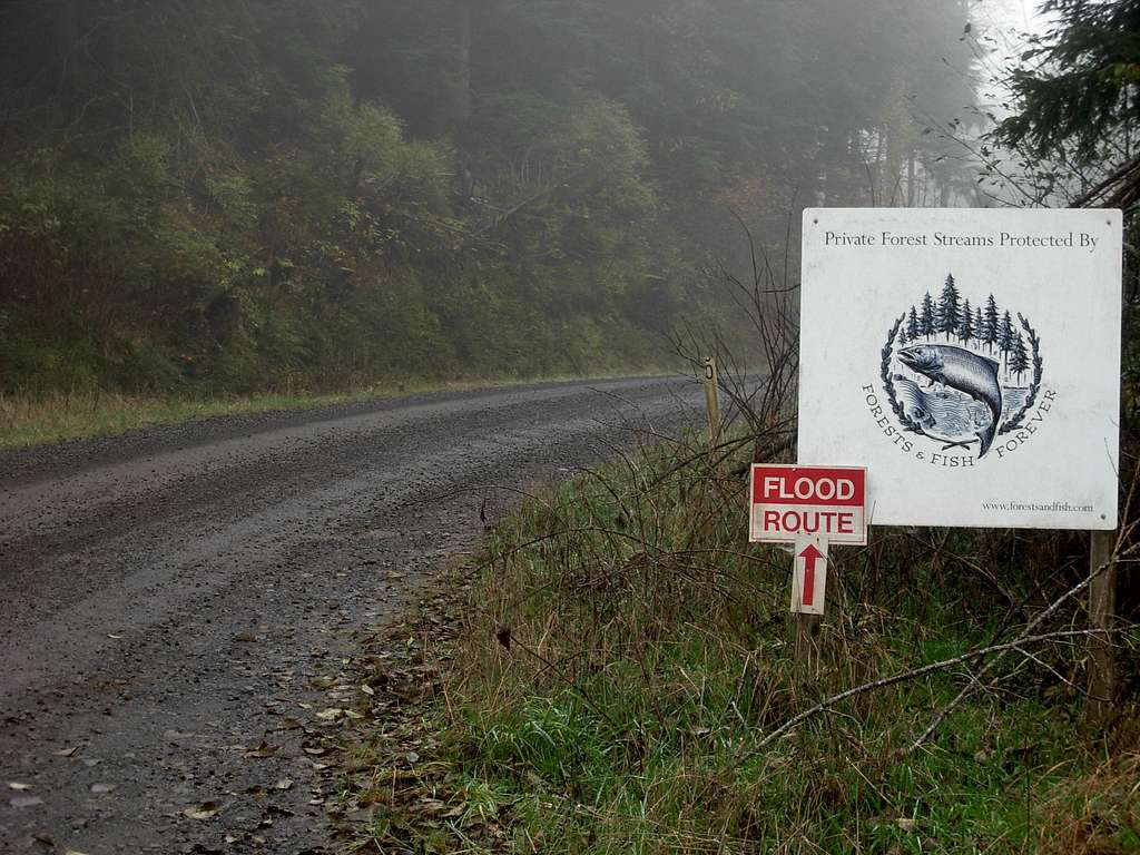 Flood Route On Elk Mountain