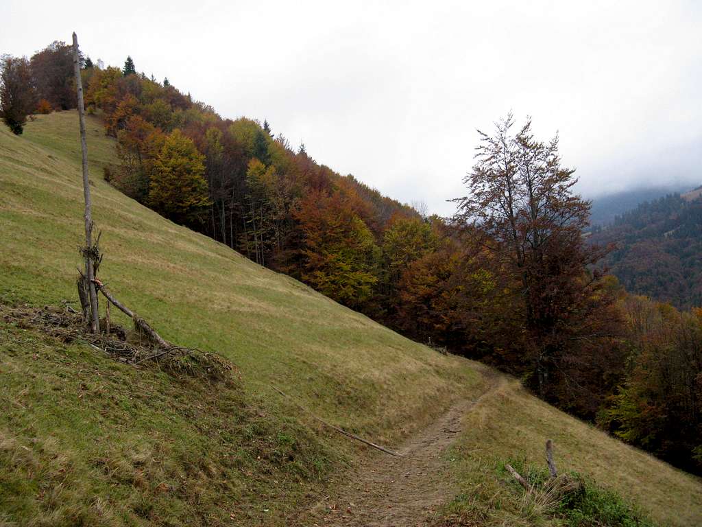 Hiking trail in autumn