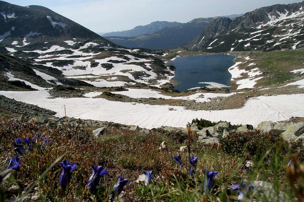 Retezat mountains - Bucura lake