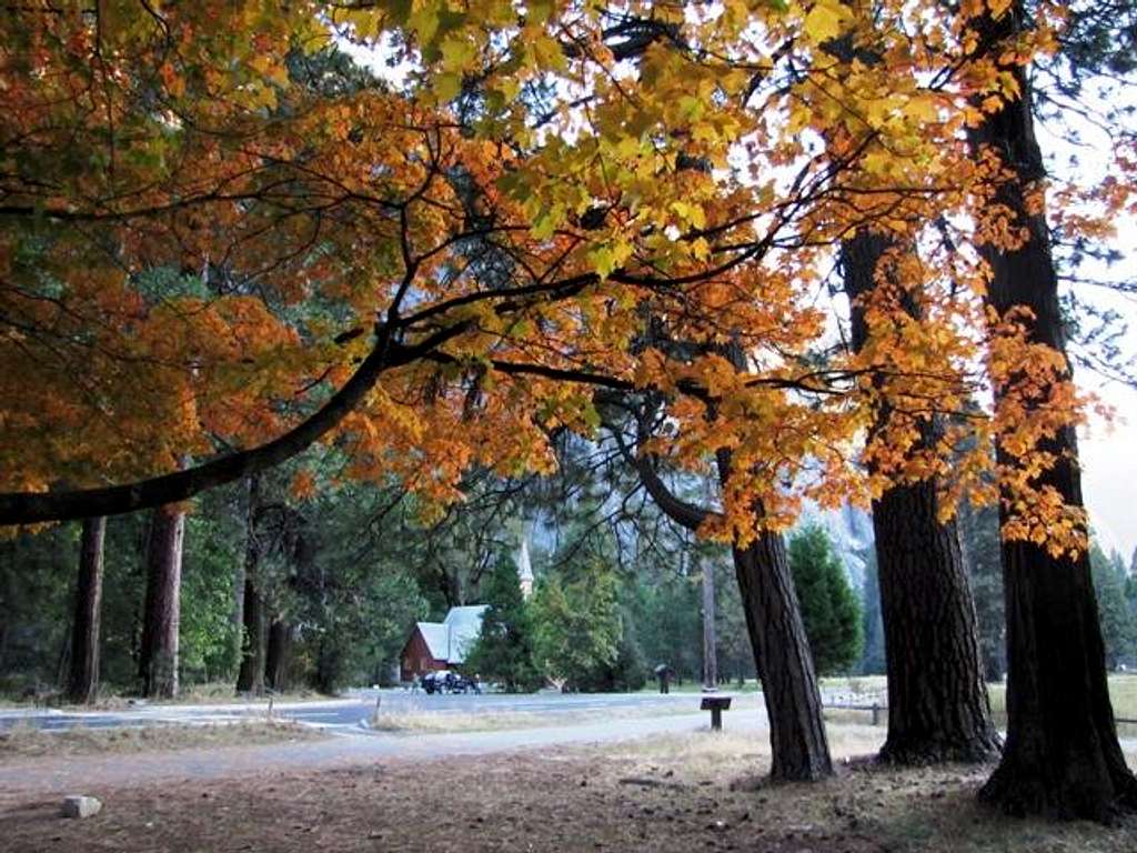 Yosemite Fall Color V