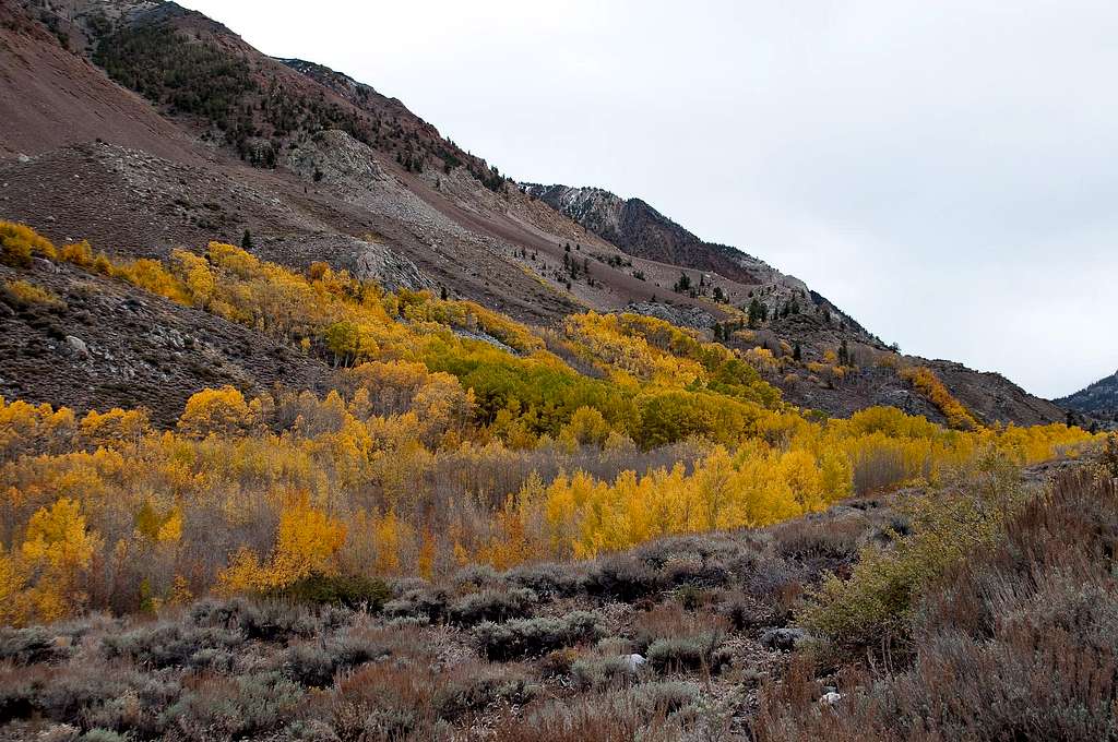 South Fork Bishop Creek 