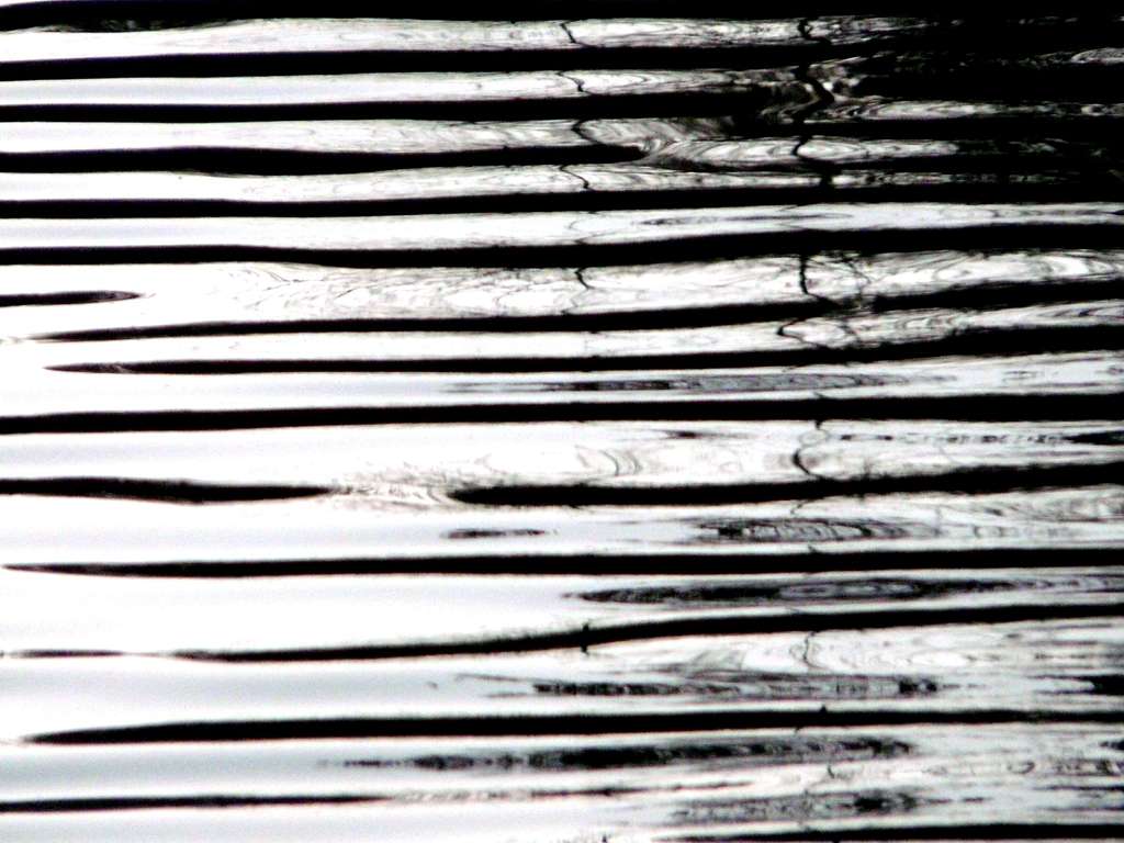 Silver ripples, Lake Lagunitas