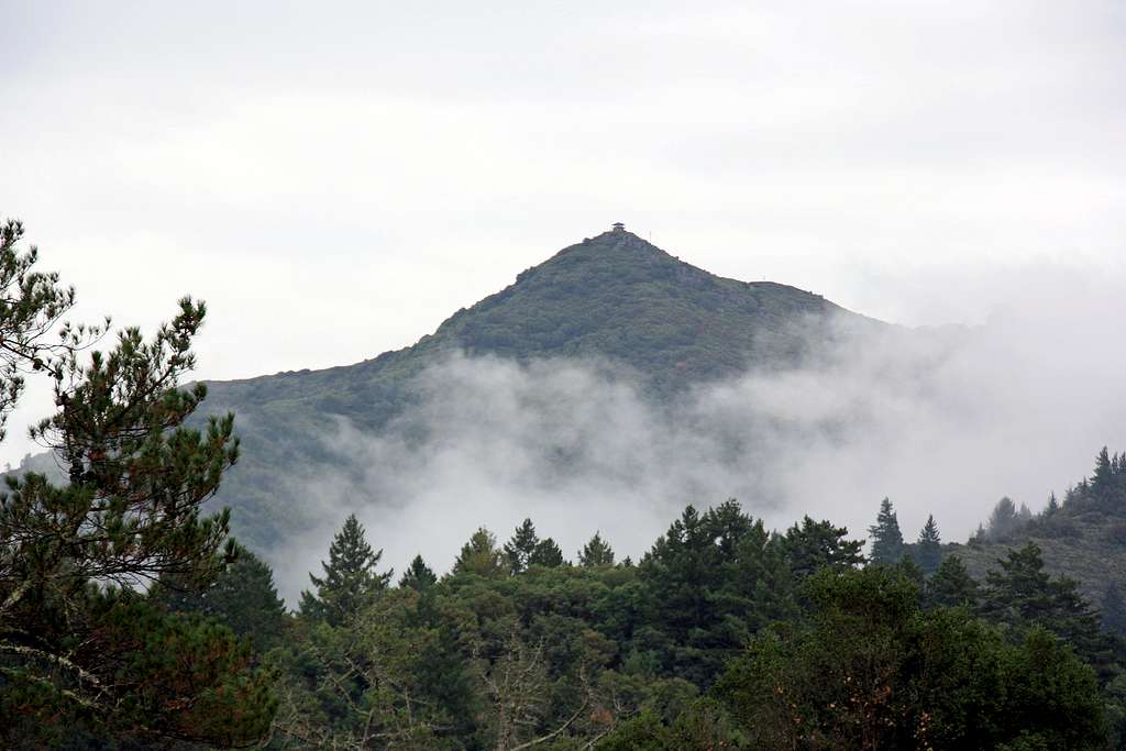 Mt. Tamalpais from the north