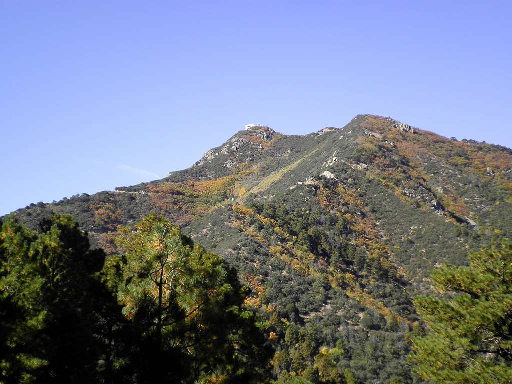 Mount Hopkins in Fall Colors