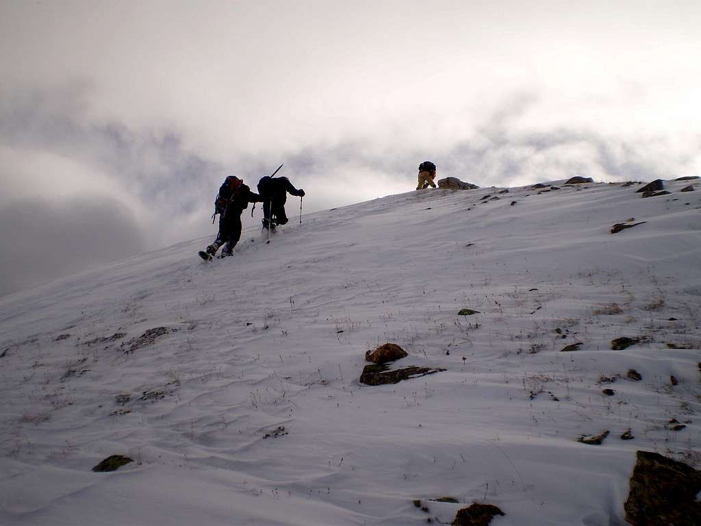 Up Mayflower Gulch