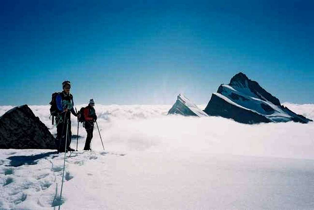 View to Finsteraarhorn from...