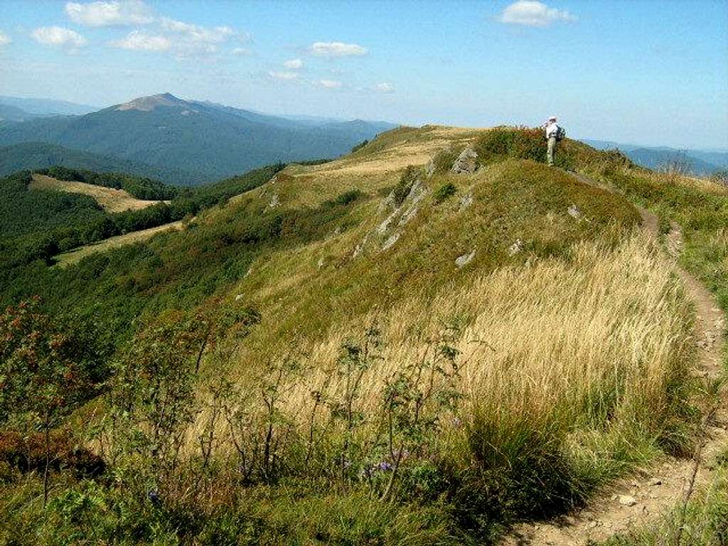 On ridge of Mount Bukowe Berdo (1238 m)