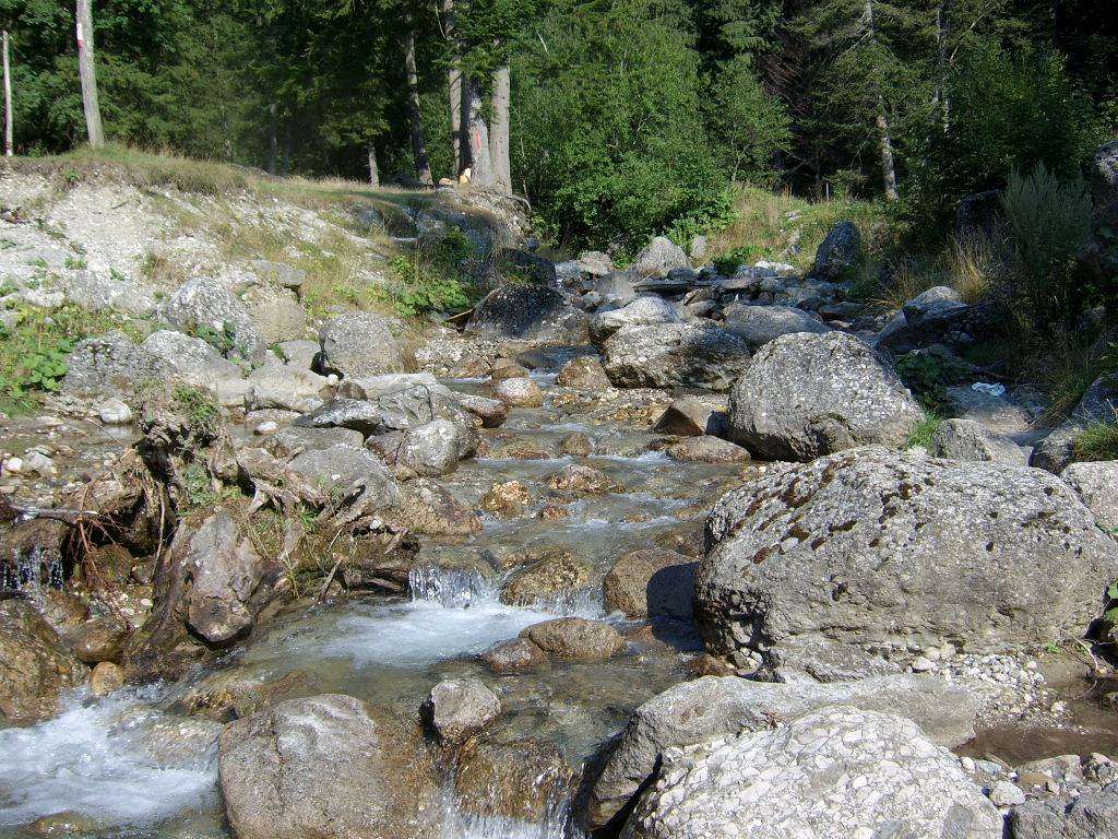 Cerbu Valley, Bucegi Mountains