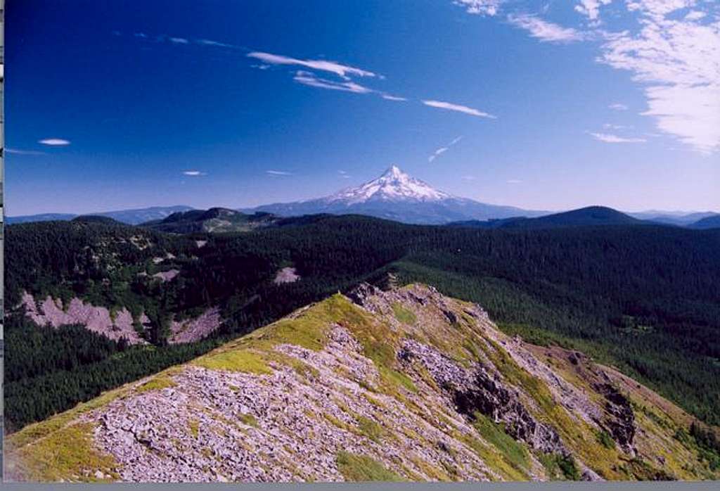 View of Mt. Hood from the...