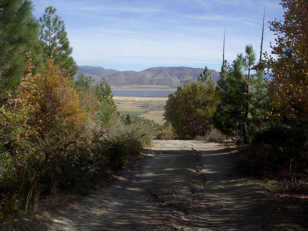 Heading out of the woods towards the Washoe Valley