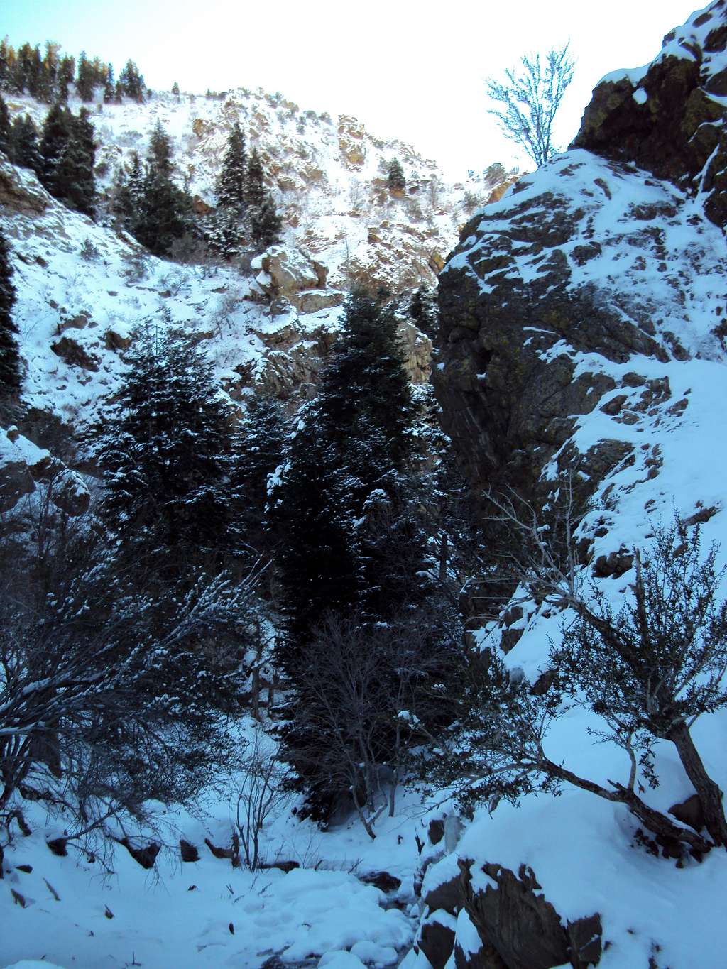 Upper Trail Near Waterfall