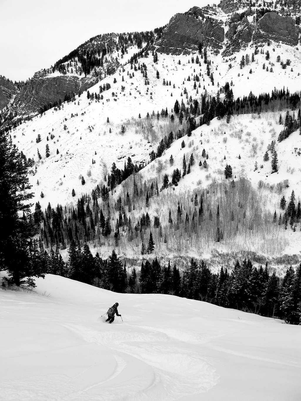 Skiing into Mineral Fork