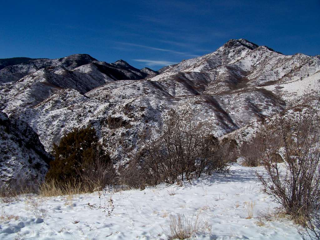 Goat Mountain from just above Waterton Canyon