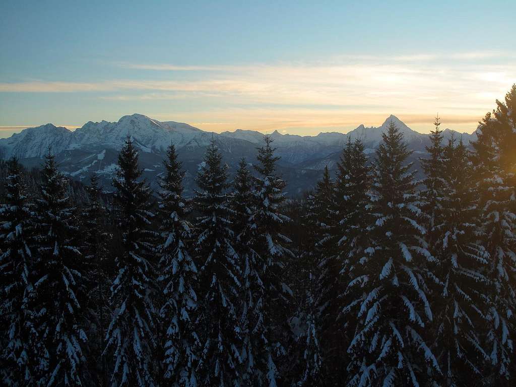 The Berchtesgaden Alps above the pine trees in winter